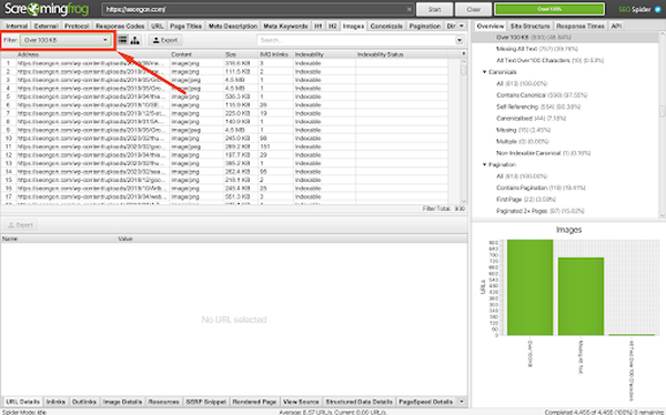 tổng hợp tất cả thông tin về hình ảnh xuất ra từ screamingfrog
