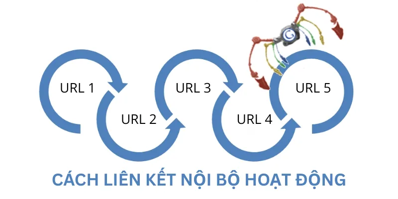 Liên kết nội bộ giúp bộ máy tìm kiếm nhận diện nhanh hơn